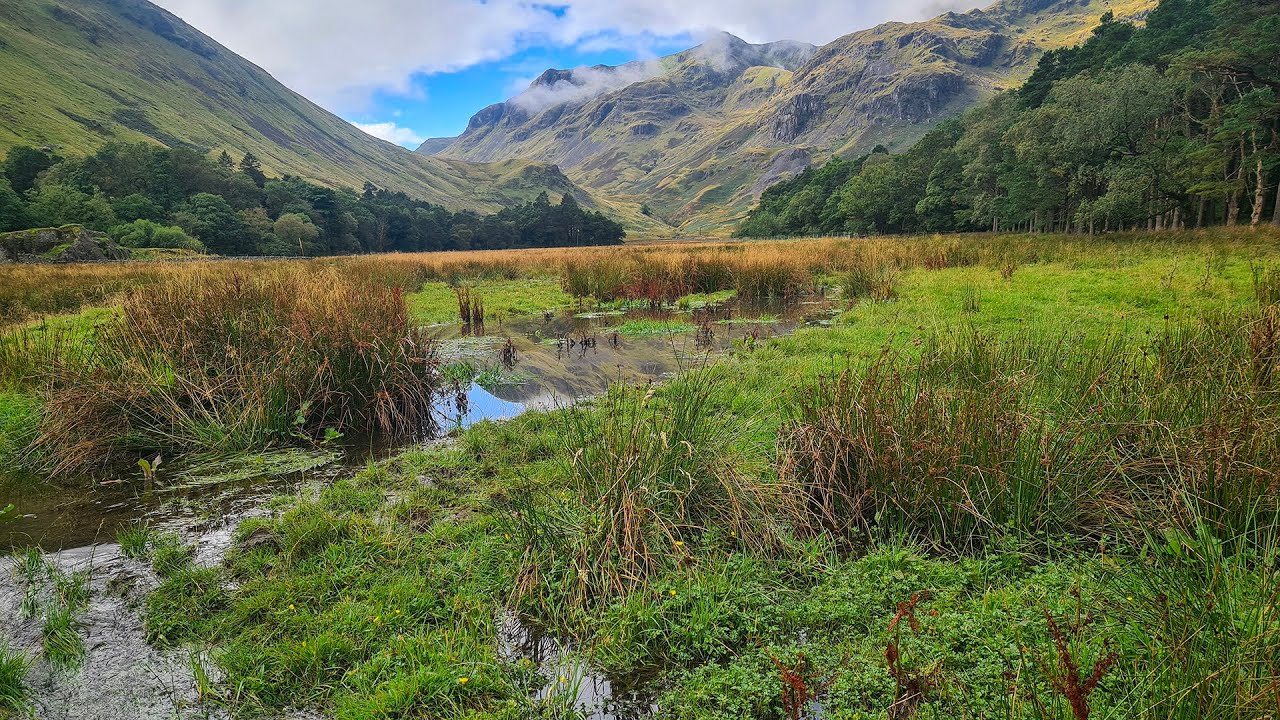 Restoring Grisedale beck 2021 - 2024