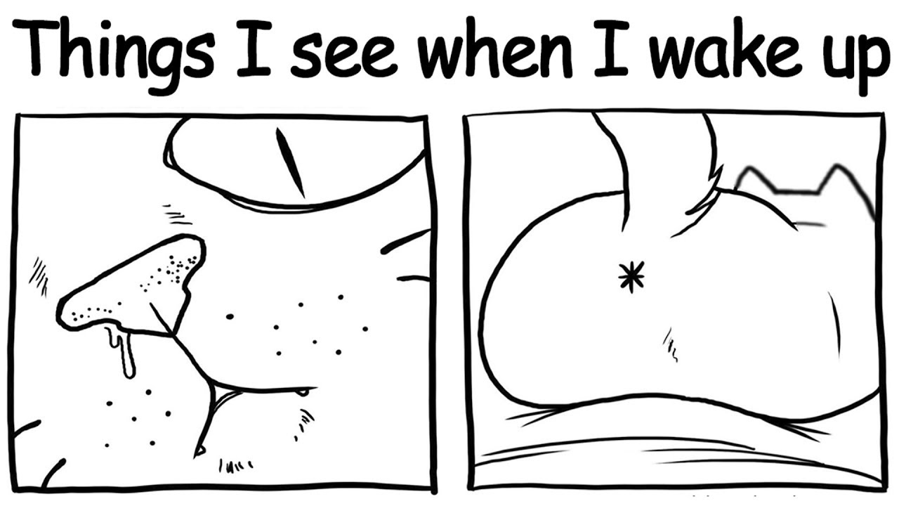 Hilarious Comics That Capture My Life With Two Cheeky Cats