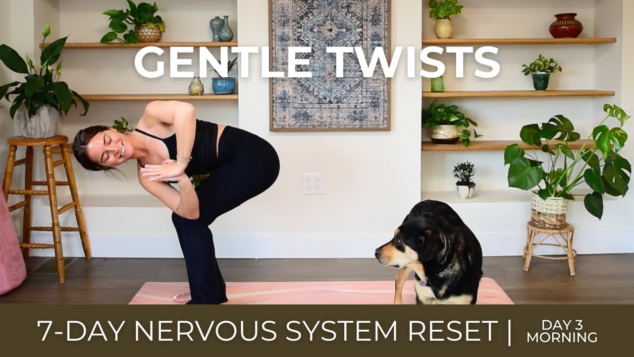 Gentle Spinal Twists | Nervous System Reset Day 3 - Morning