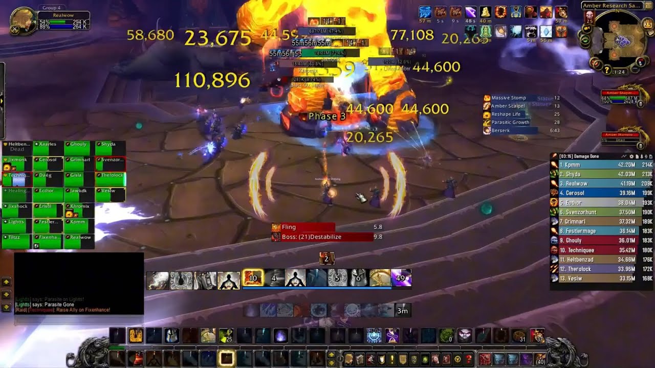 95 Parse Fire Mage Amber Shaper 25 Man Heroic - Mop Classic