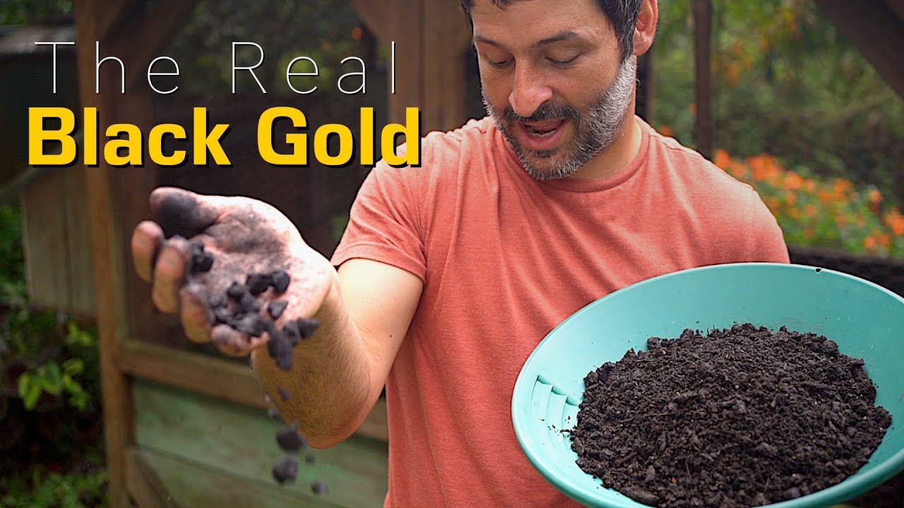Our Most Powerful Homemade Fertilizer | Chicken Manure Biochar