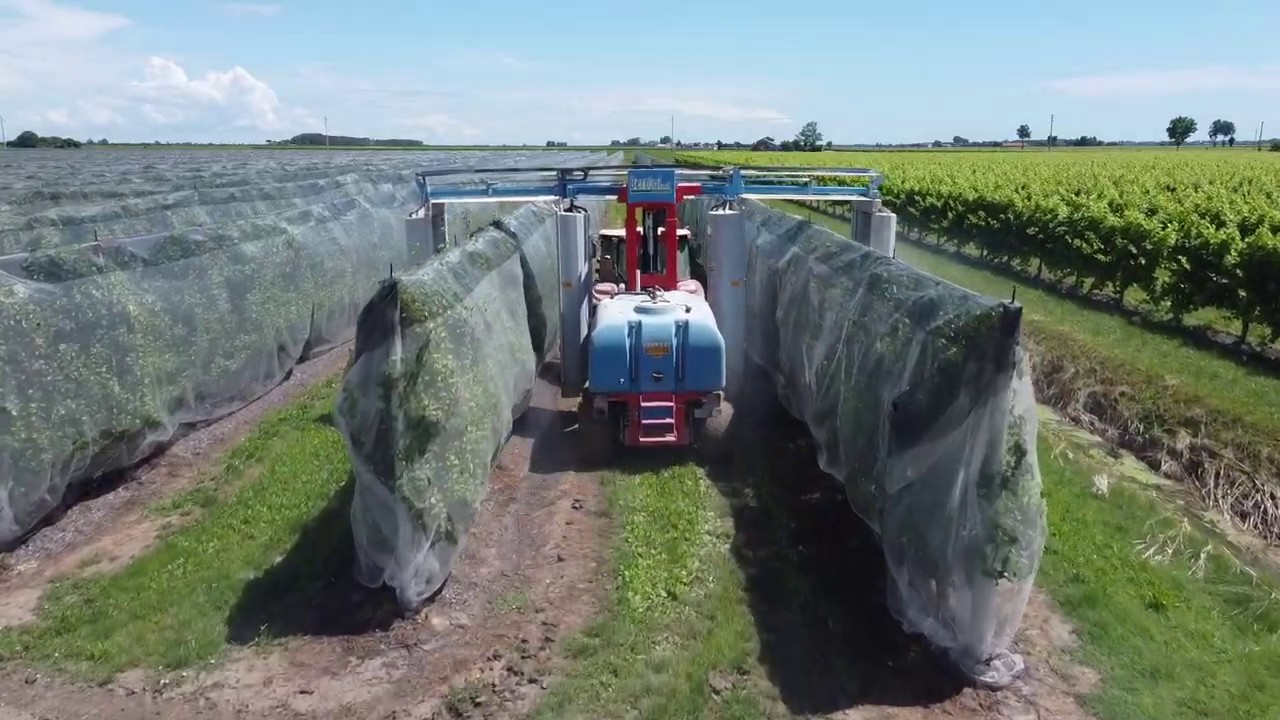 ATOMIZZATORE A RECUPERO BERTONI - Società agricola Fortuna