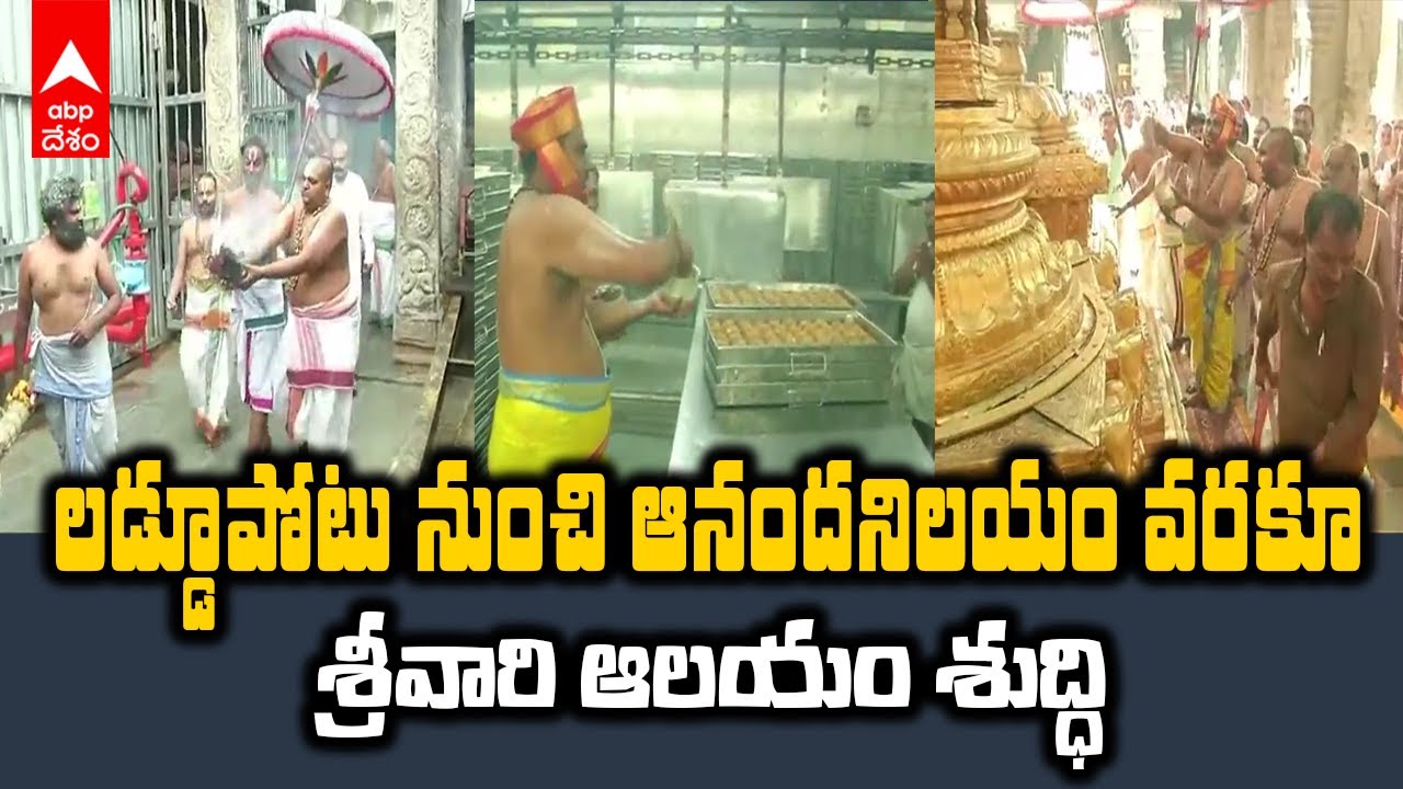 Tirumala Santhi Homam | తిరుమల శ్రీవారి ఆలయాన్ని పంచగవ్య ప్రోక్షణ చేసిన అర్చకులు | ABP Desam