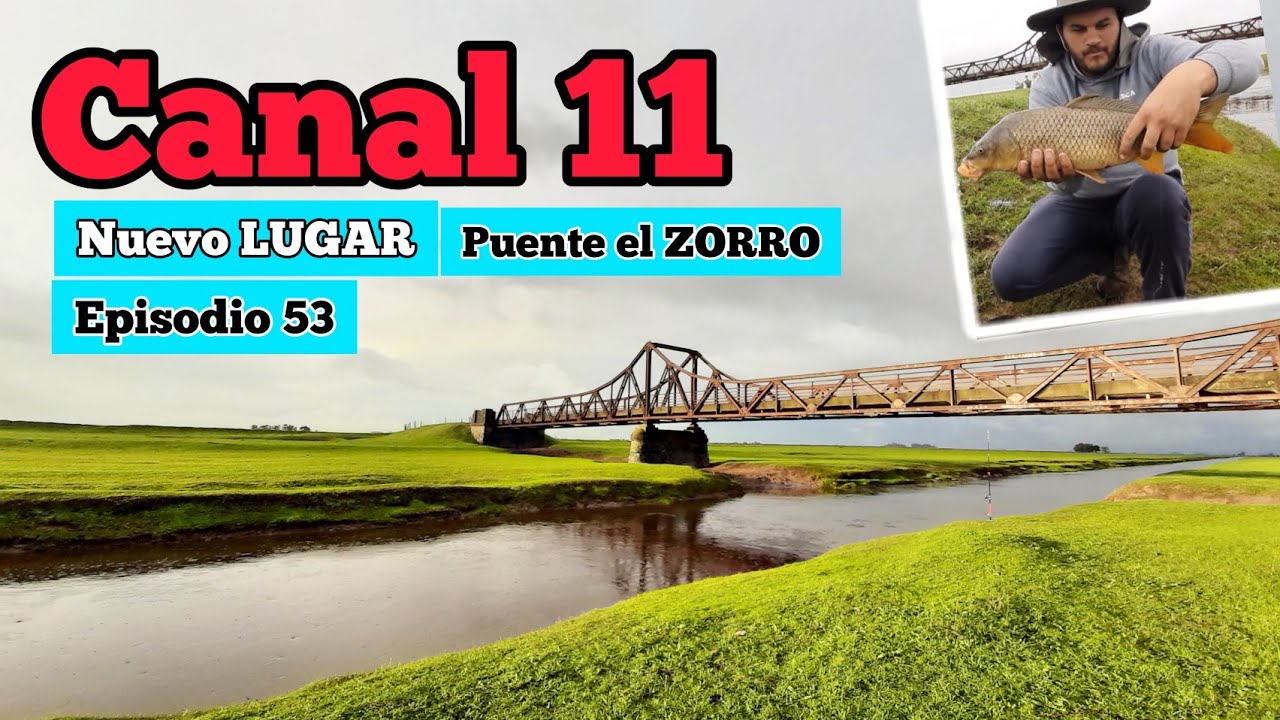 Pesca en CANAL 11 sobre El puente el ZORRO // Naturaleza pura, animales y MUCHOS Peces // MJ-PESCA