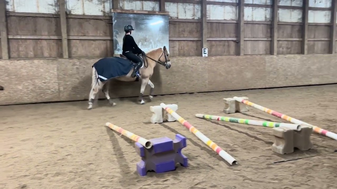 Phyllis Dawson equine affair video