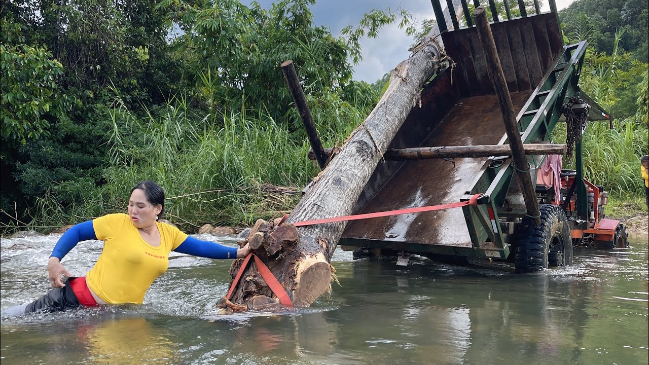 agricultural vehicle. Giant tree drifting in flood water