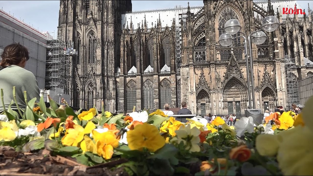 Dom-Blick: Vom Blumenbeet auf den K&ouml;lner Roncalliplatz