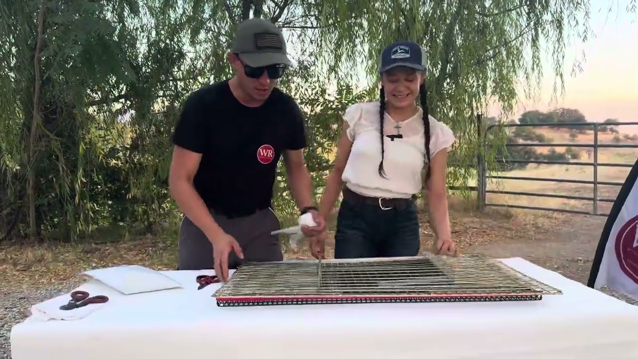 How to assemble a quail cage H.D
