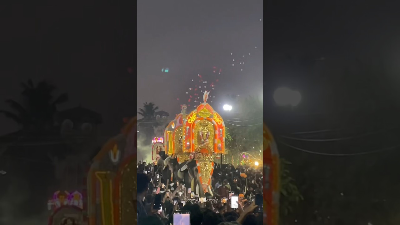 Anayadi Pooram 2024 🔥#anayadi #gajamela #pooram #viral #gajarajanmar #keralafestival #elephant