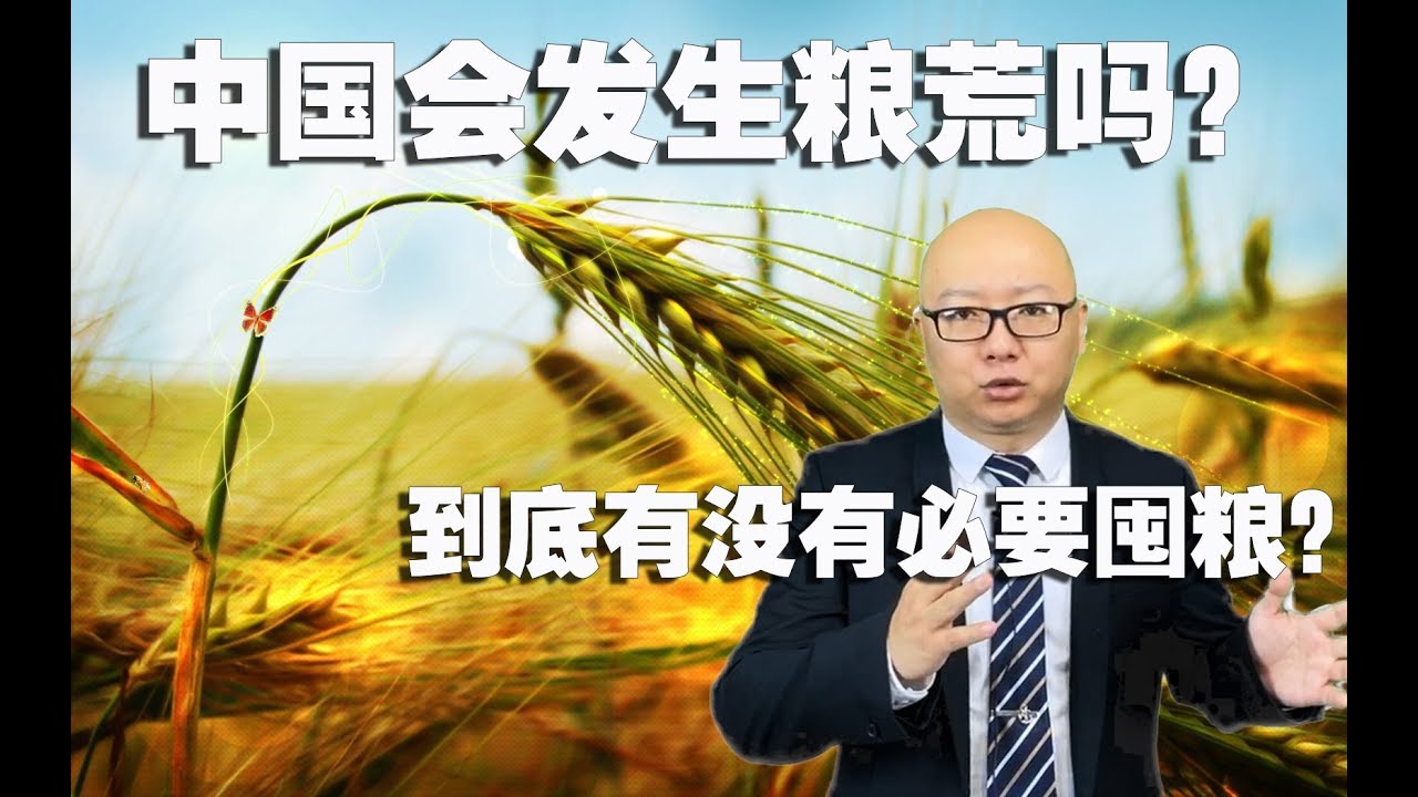 中国真的会发生粮荒吗？到底有没有必要囤粮？（2020-4-4第262期）