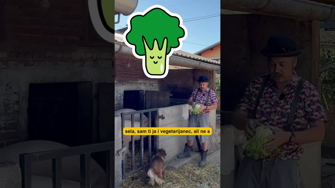Vegetarijanac 🍺🦾😄#vegetables #samodomace #funny #humor #balkan #vegetarijanac