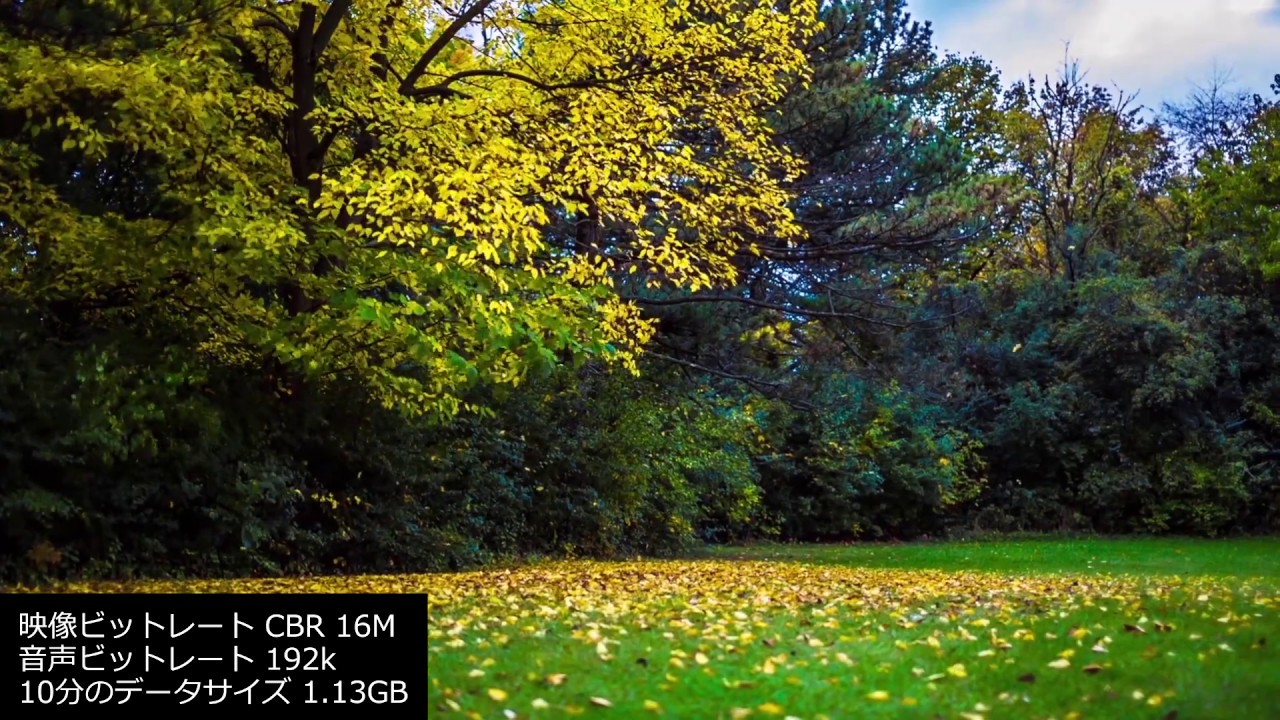 Adobe Media Encoderのmp4書き出し設定【使い方】