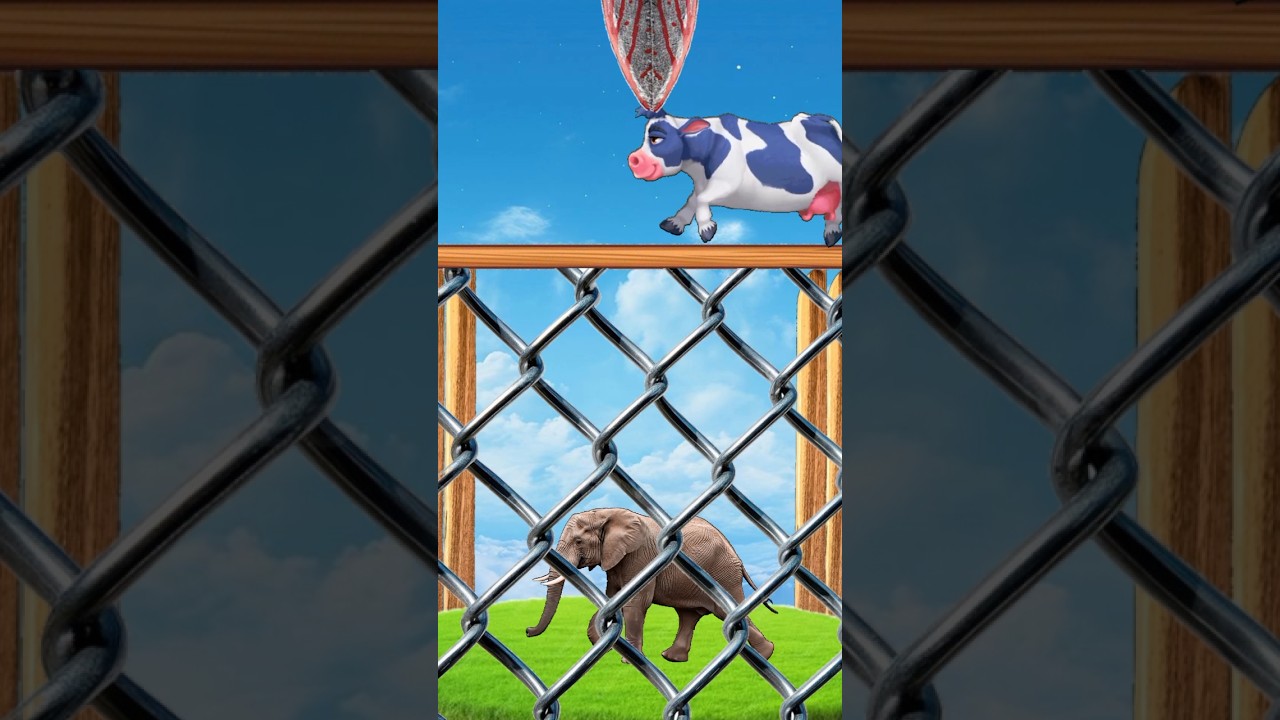 Ya Rab E Mustafa Tu Mujhy Hajj Pe Bula | Beautiful Naat 2025 | 