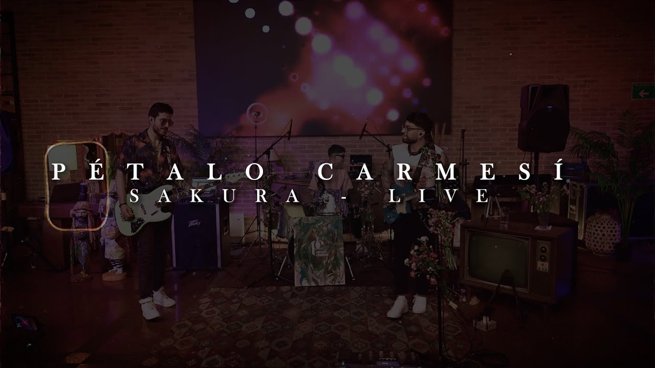 Pétalo Carmesí- Sakura (LIVE SESION)