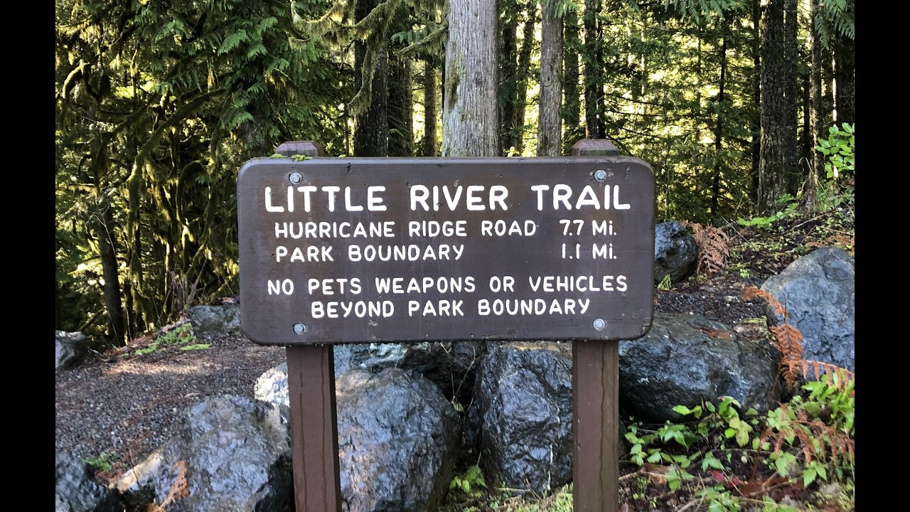 Valentine's Day Hike