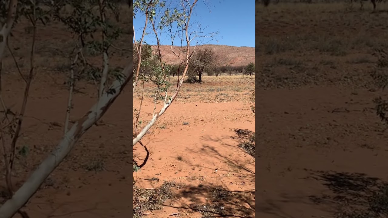 Slow pan across endless desert views. #AustraliaOutback #DesertViews #Wanderlust #OutbackVibes