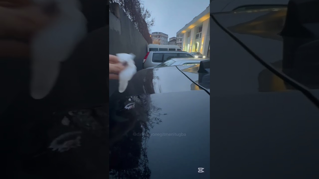 Kuş pisliklerini ıslak mendille mi siliyorsunuz ?