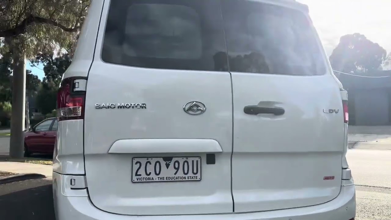 LDV G10