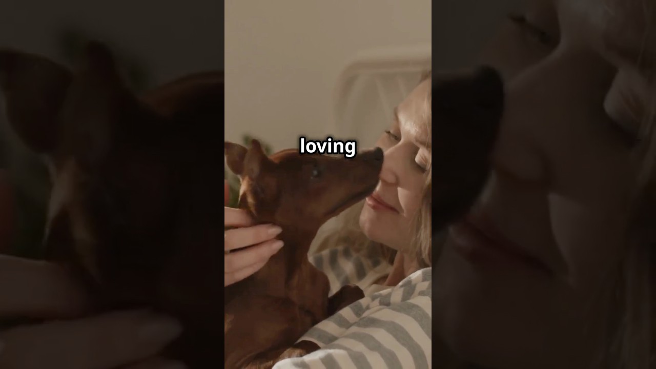 The Magic of Animal Healing! 🐾✨