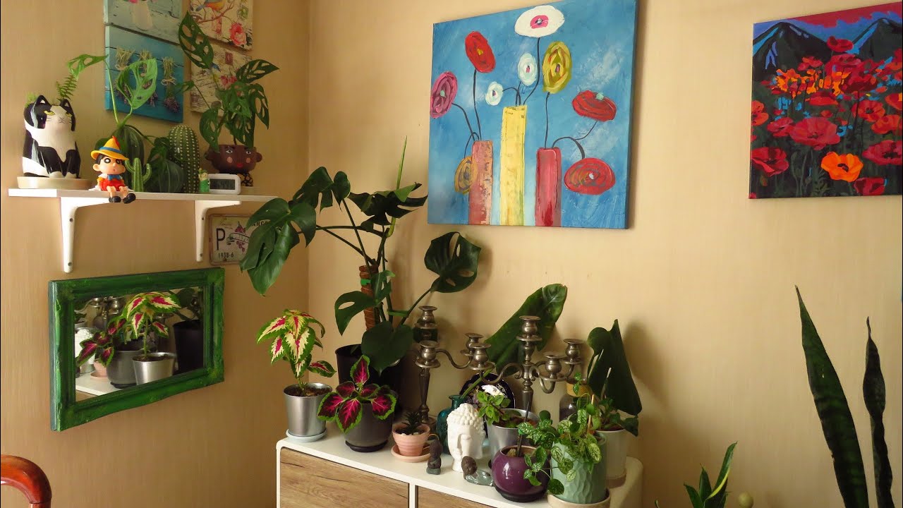 Vida tranquila en casa, nuevas plantas de interior y termine de bordar