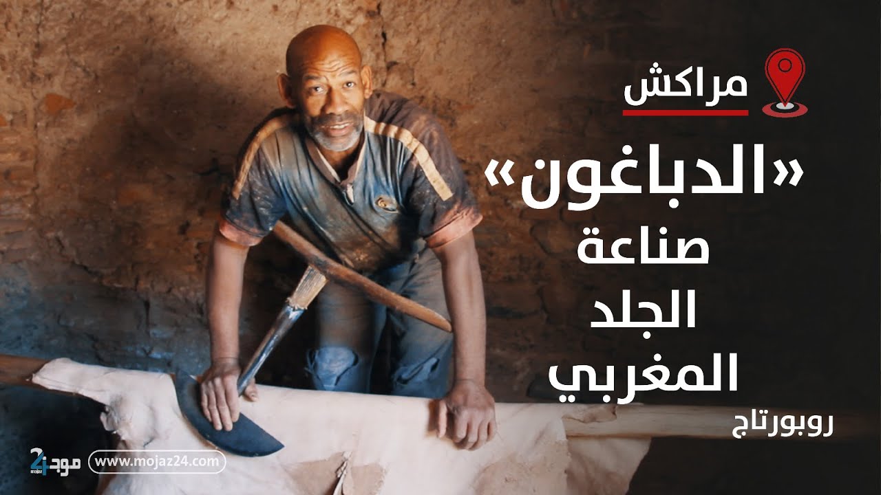 روبورتاج: 