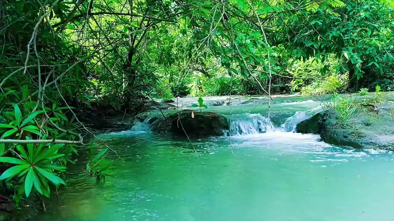 ASMR Waterfall Ambience 🌿 Relaxing Nature Sounds for Yoga, Meditation & Deep Sleep