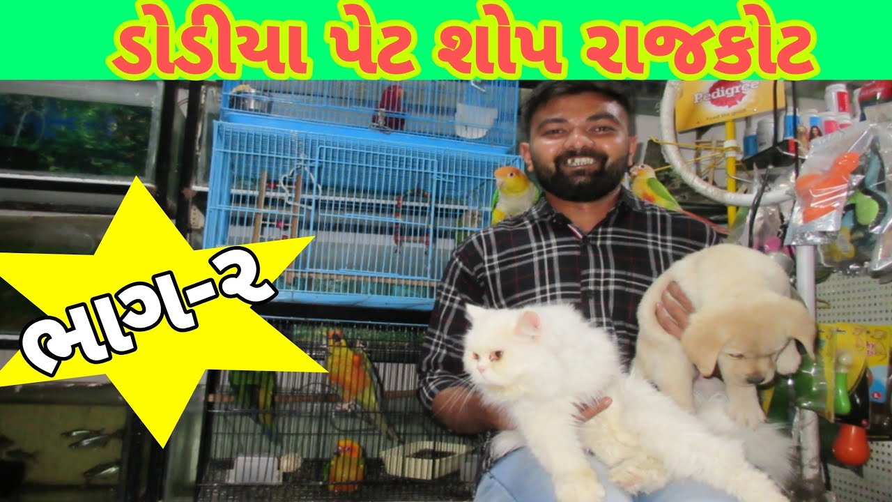 Rajkot | Dodiya pet shop Part-2