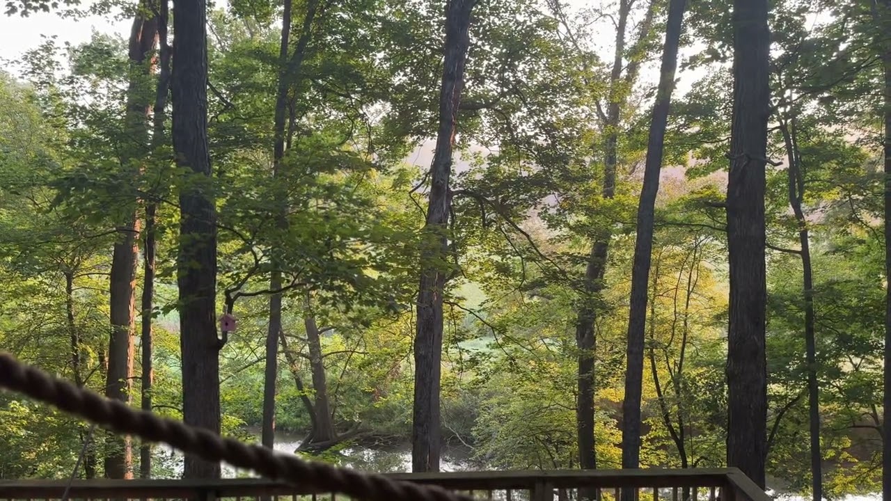 One Minute in God’s Creation