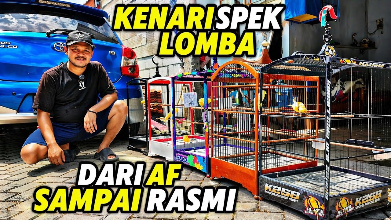KENARI PROSPEK LOMBA‼️Dari AF sampai RASMI ready di ORLANDO CANARY SOLO...