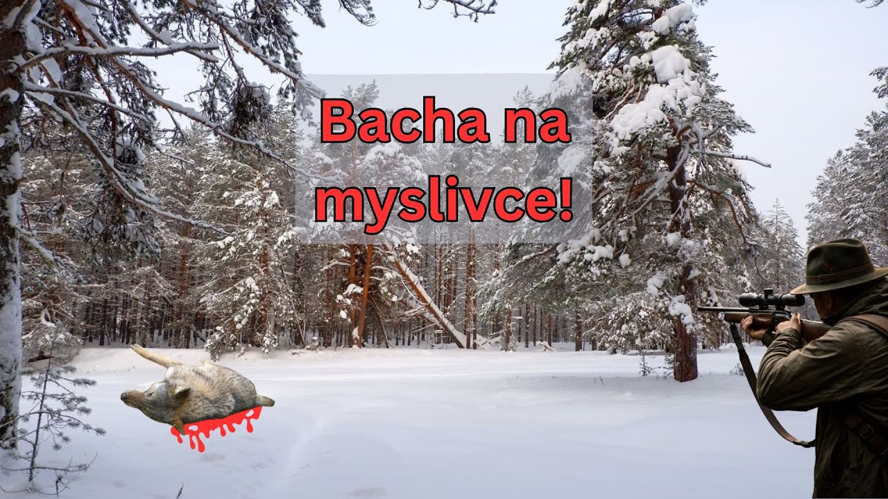 Můžou mi zastřelit psa? | 🤔😡