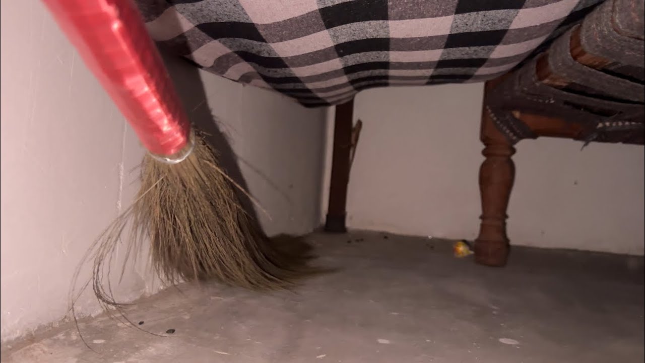 Unwanted Guest in My Room! 😱 आधी रात को मचा HUNGAMA!