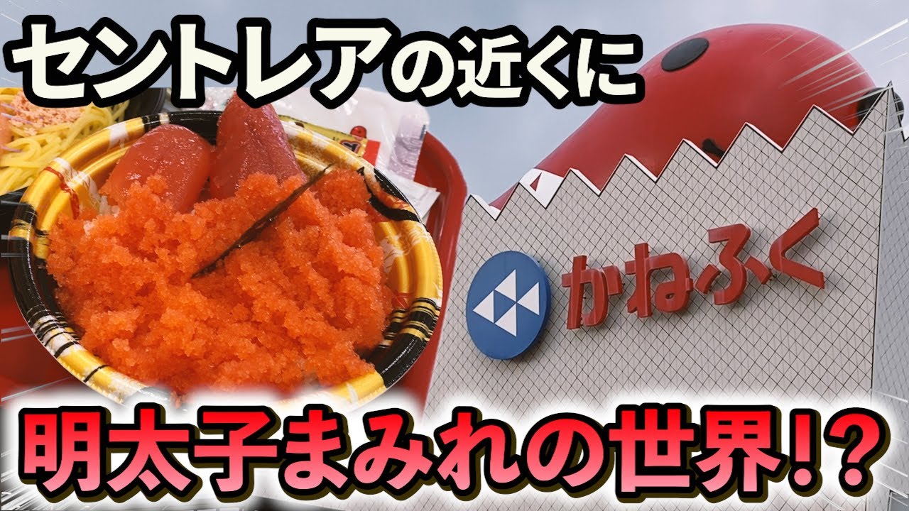 【愛知・常滑】セントレアの近くには明太子好きのための明太子にまみれた世界がある！？