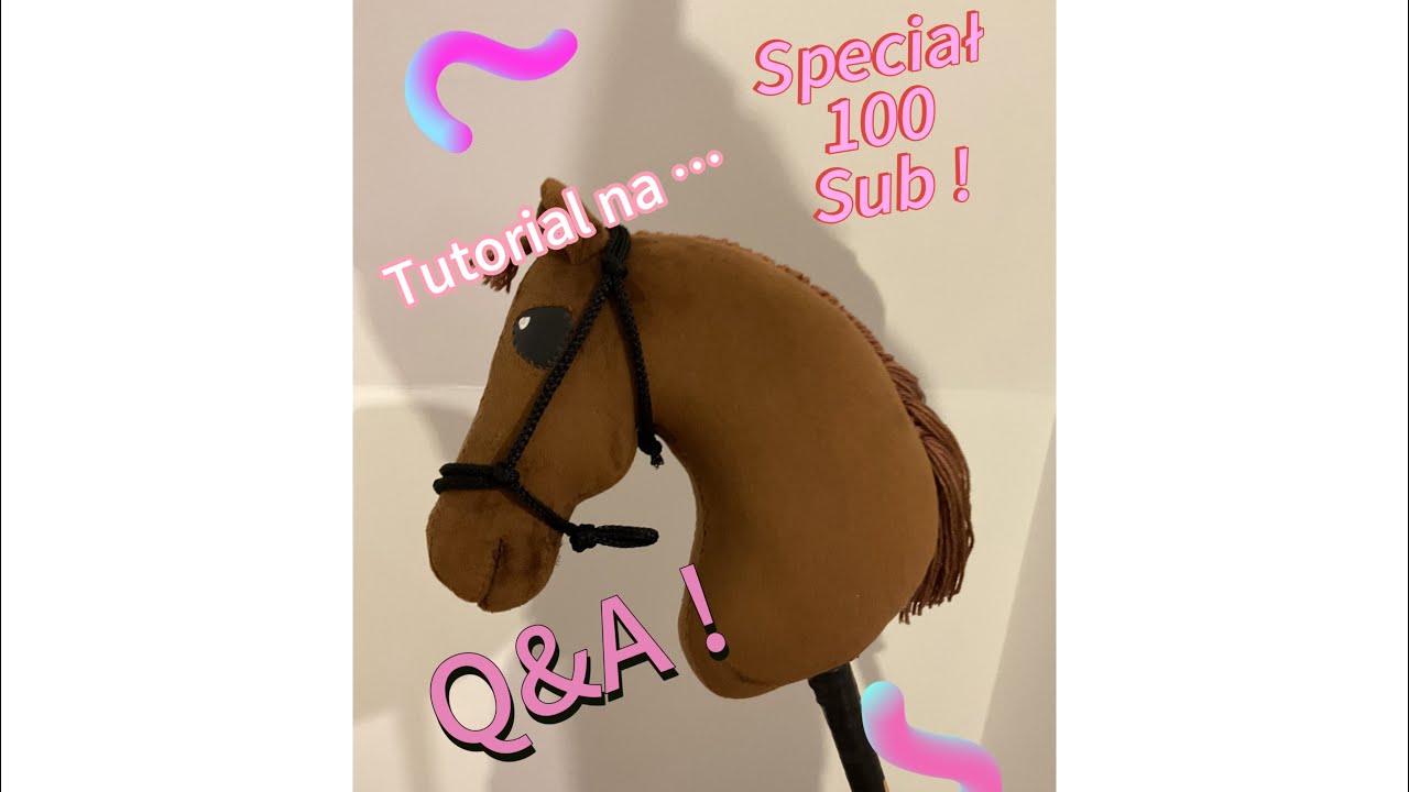Speciał na 100 sub i Q&A dziękuję ! 🥳#hobbyhorse #konie #horse #koniara #special 