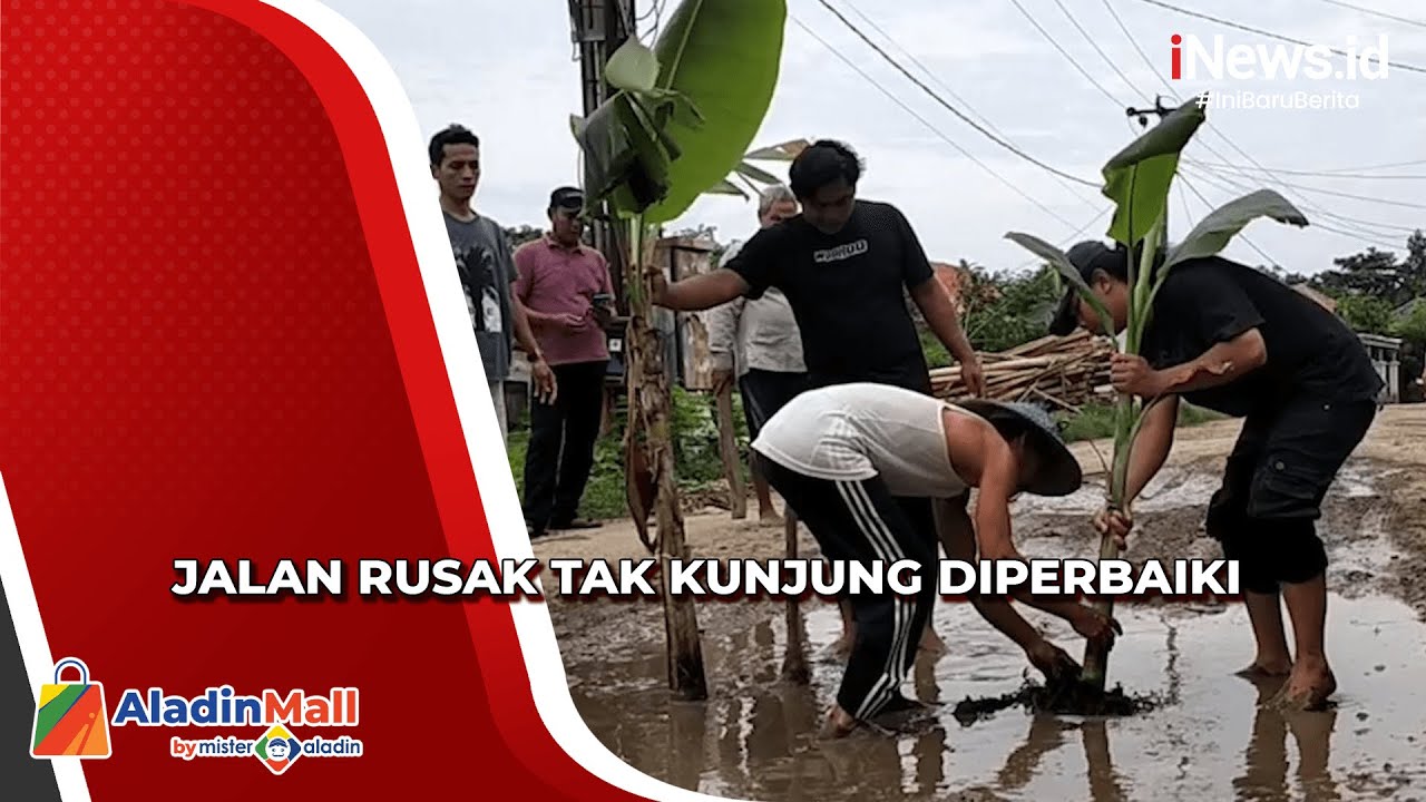 Aksi Protes Warga Desa Pranggong Indramayu Tanam Pohon di Tengah Jalan