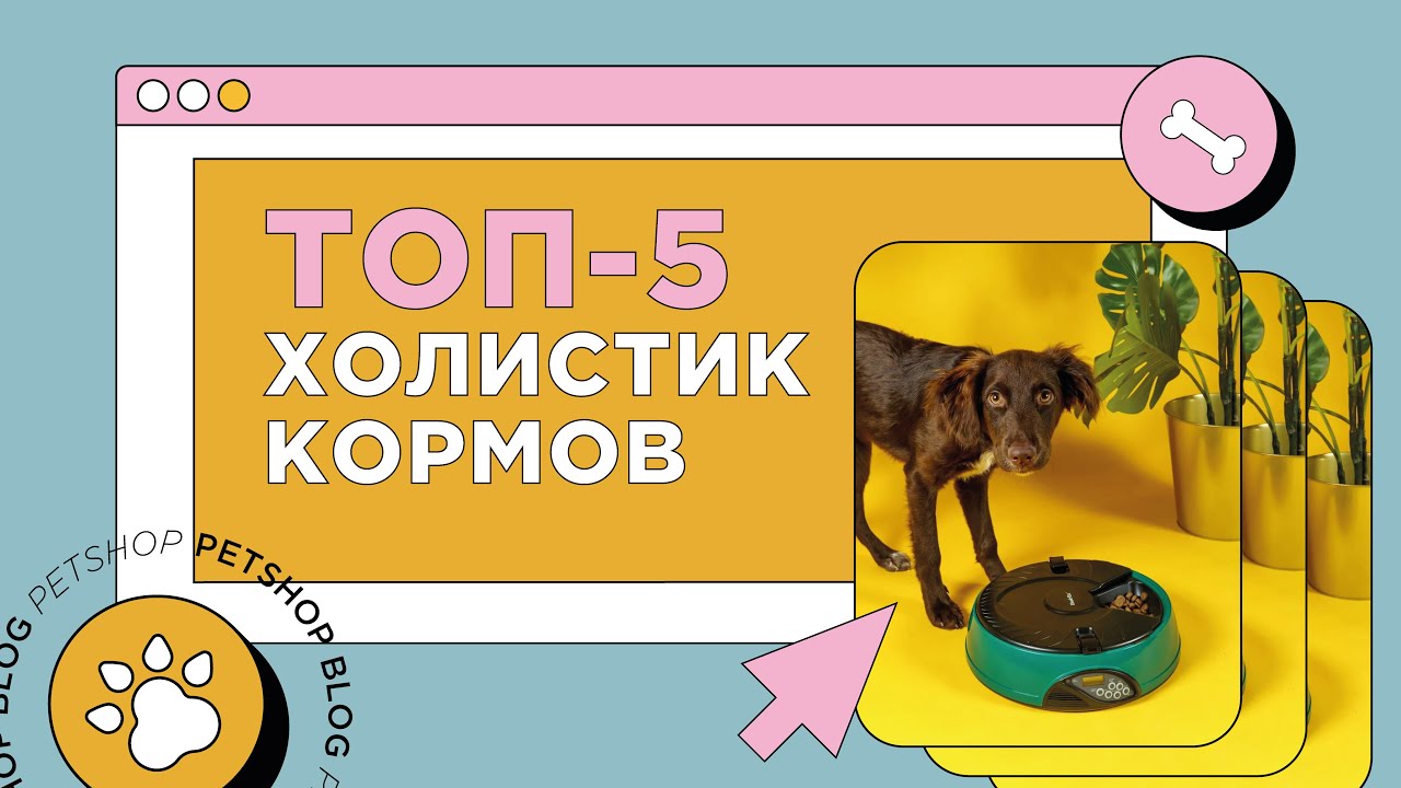 Топ-5 холистик кормов для кошек и собак. Самый лучший корм для домашних животных.