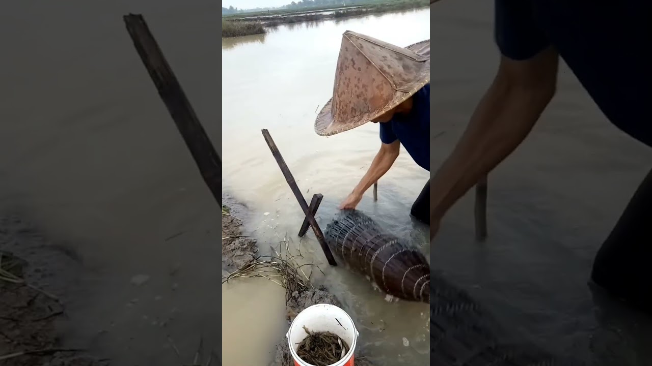 Spot rawabubu yg banyak udangnya disinih