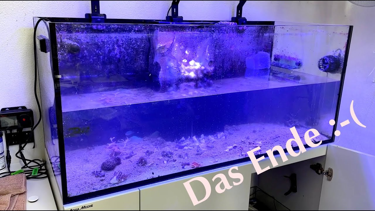 Showtank Teil 52: Das Ende ist gekommen (Aqua Medic Armatus)