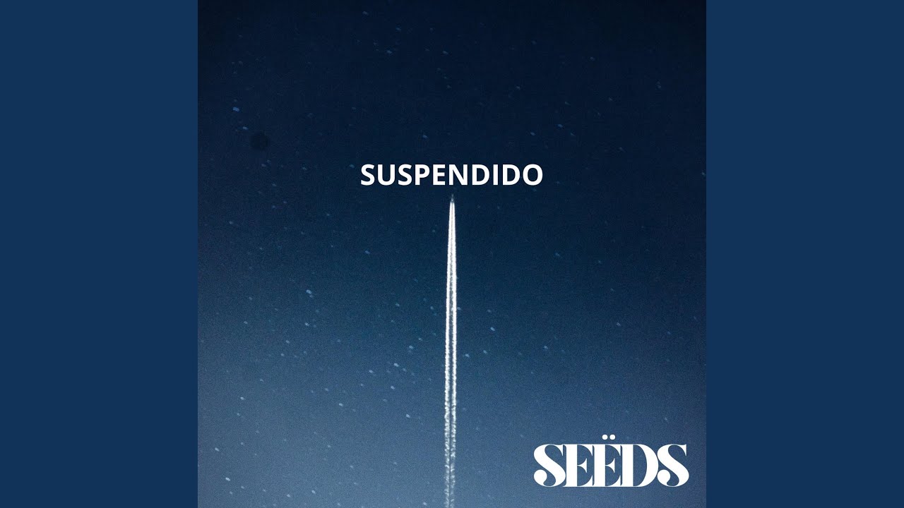 SUSPENDIDO