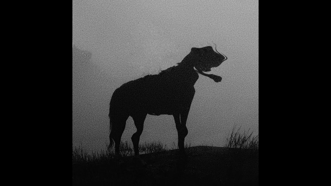 (FREE) La Fève Type Beat ~ Galop