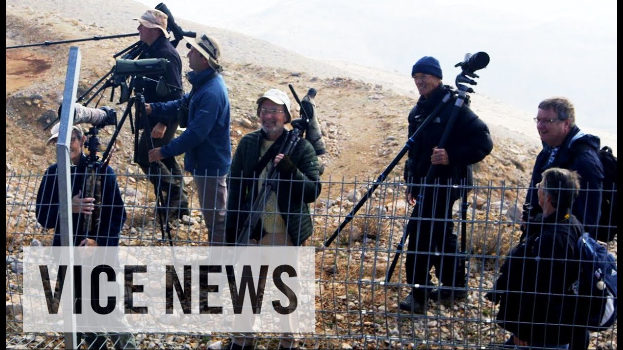 Bird-Watching in a War Zone (Extra Scene from 'The War Next Door')