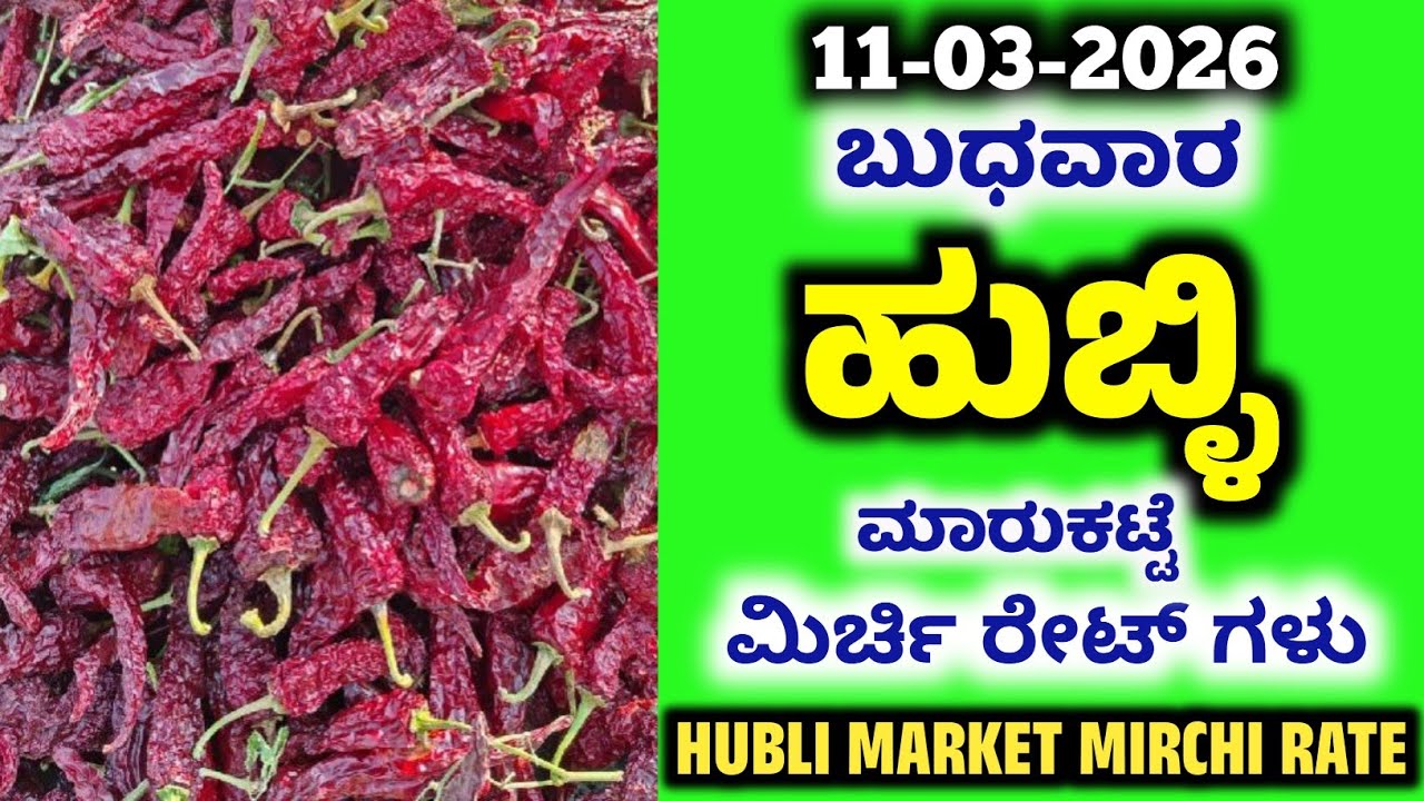 11-03-2026  Hubli Market Mirchi Rates | Today Mirchi Rate | Hubli Market | Byadgi Market #mirchirate