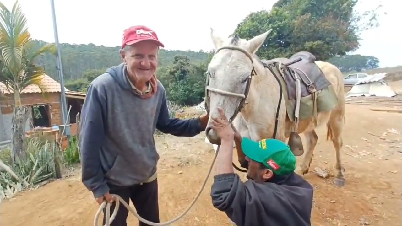 ZEZÉ E O CAVALINHO BRANCO