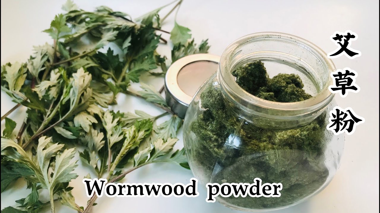 How to keep wormwood  | mugwort | 这样保存艾草让你一年随时都能吃到青团