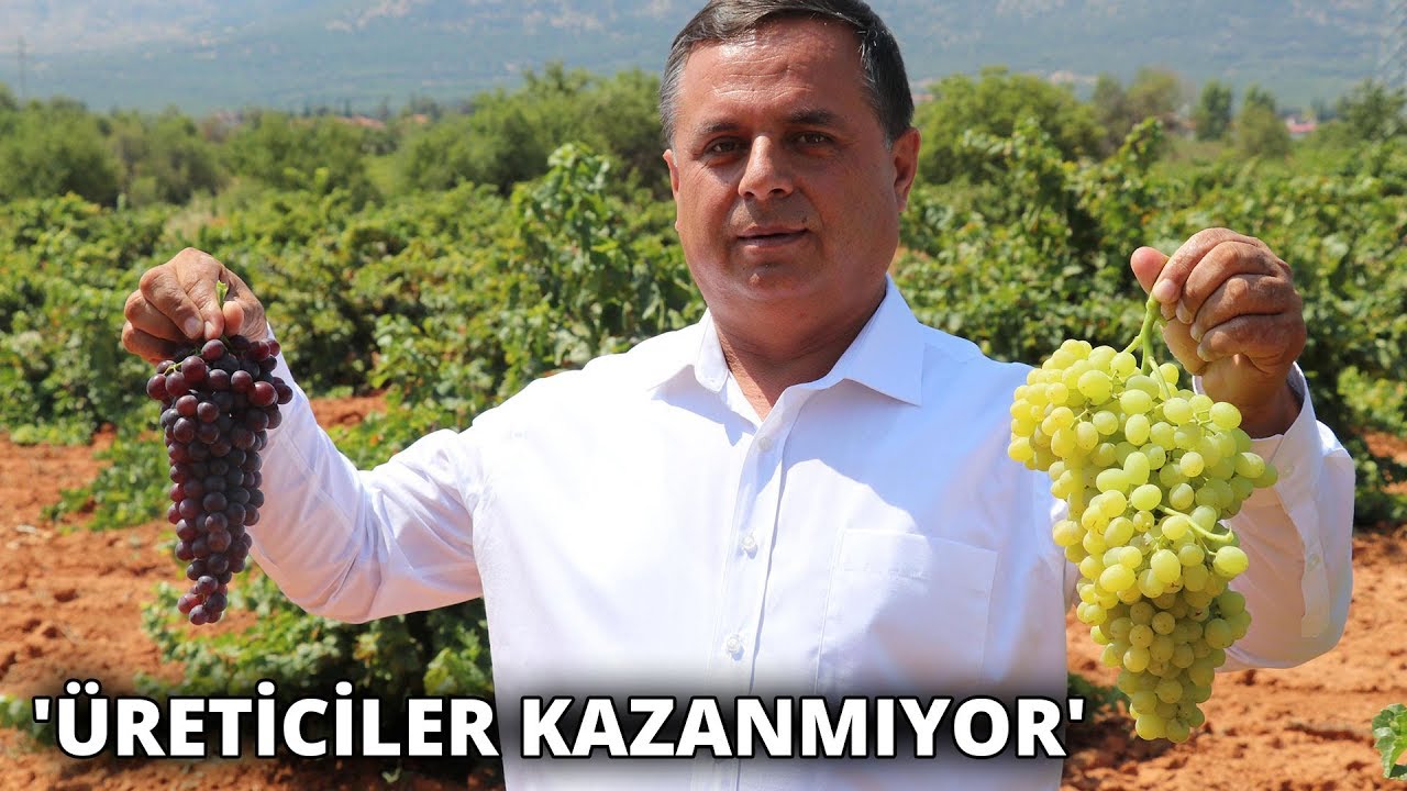 Türkiye'nin şaraplık üzüm deposunda, fiyat artışı için güç birliği