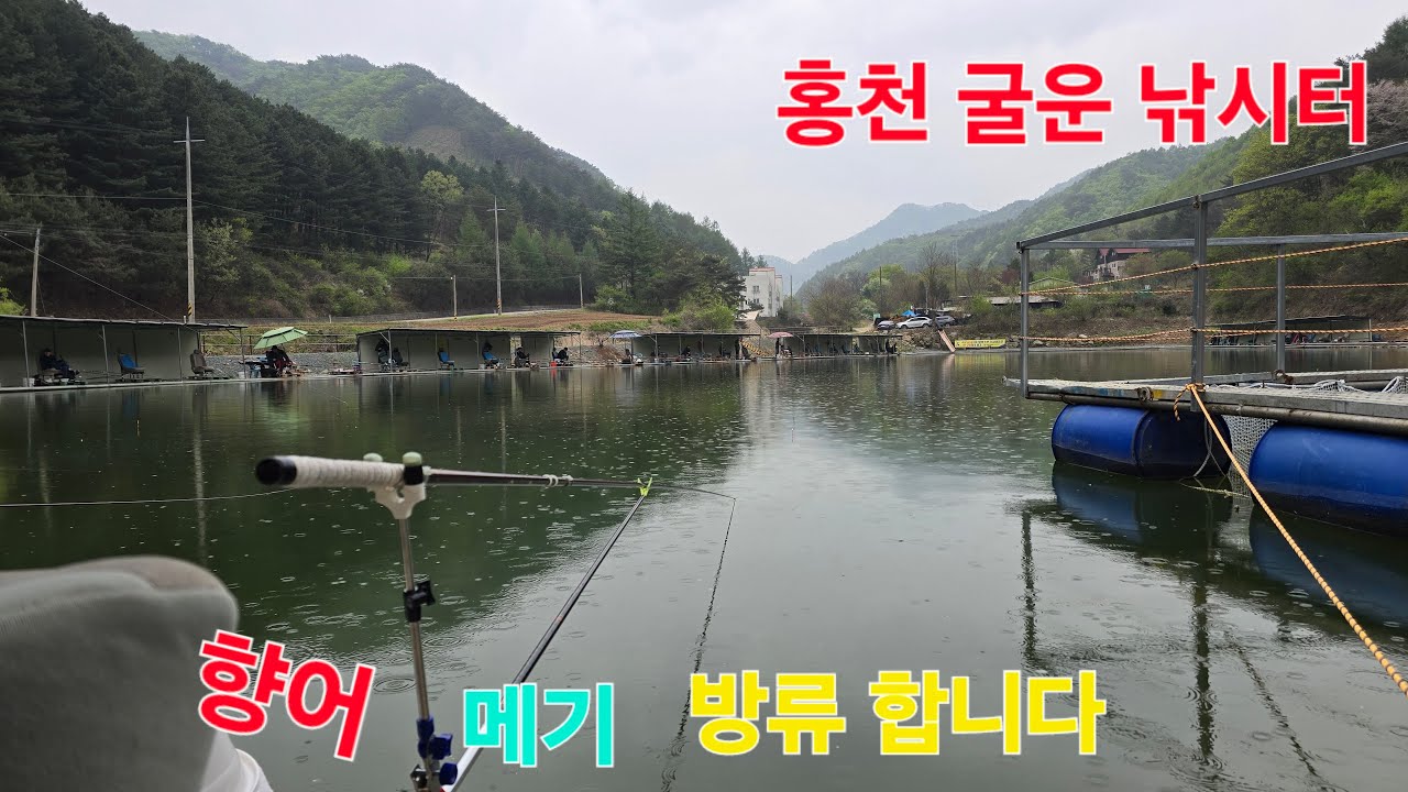 굴운 낚시터 향어 메기 방류 합니다