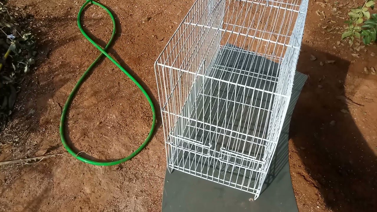 COMO REFORMAR UMA GAIOLA VELHA COM TINTA SPRAY