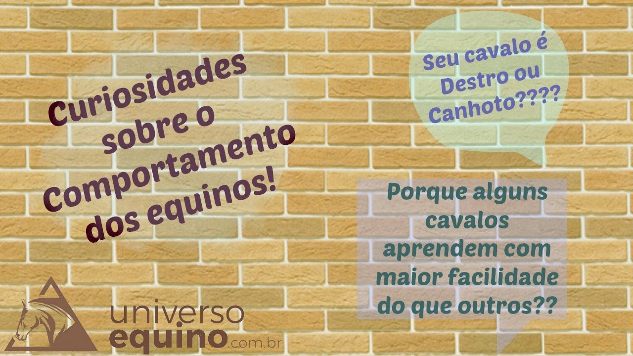 Curiosidades sobre o Comportamento e a Lateralidade dos Equinos!