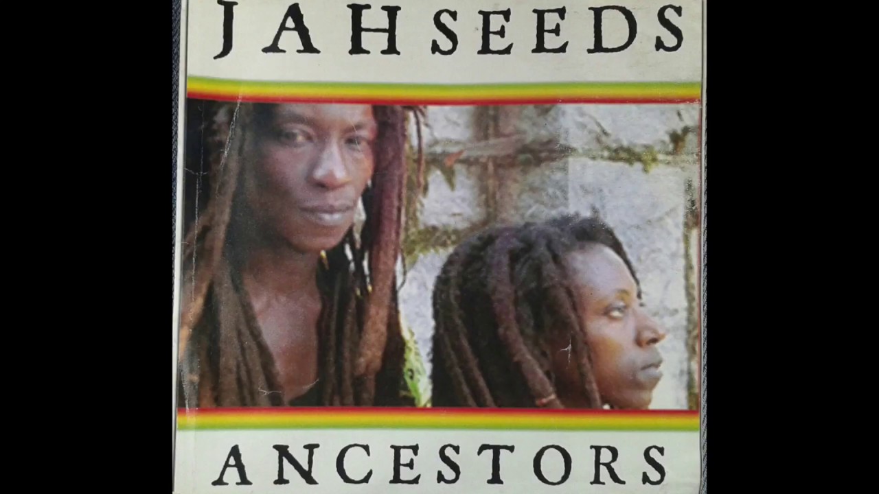 Jahseeds - Reggae Night [OFFICIAL AUDIO] Ancestors