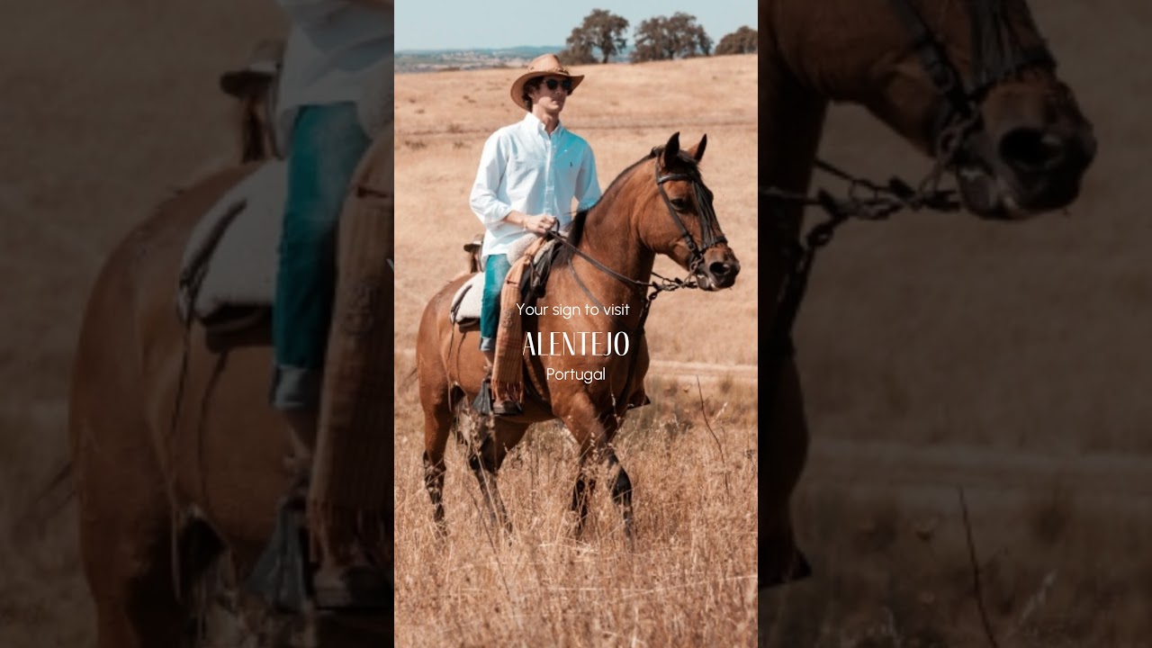 Your Sign to Visit - Alentejo, Portugal