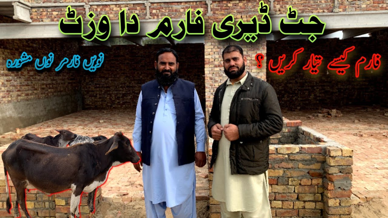 Jatt Dairy Farm Da Visit, Navein Farmer Nu Mashwara #farming #cow #dairyfarm 